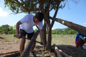 Zuschneiden von Pfählen