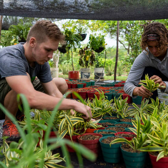 © Charlie Cordero/WeltWegWeiser/Fairpicture Zwei junge Männer bei der Gartenarbeit