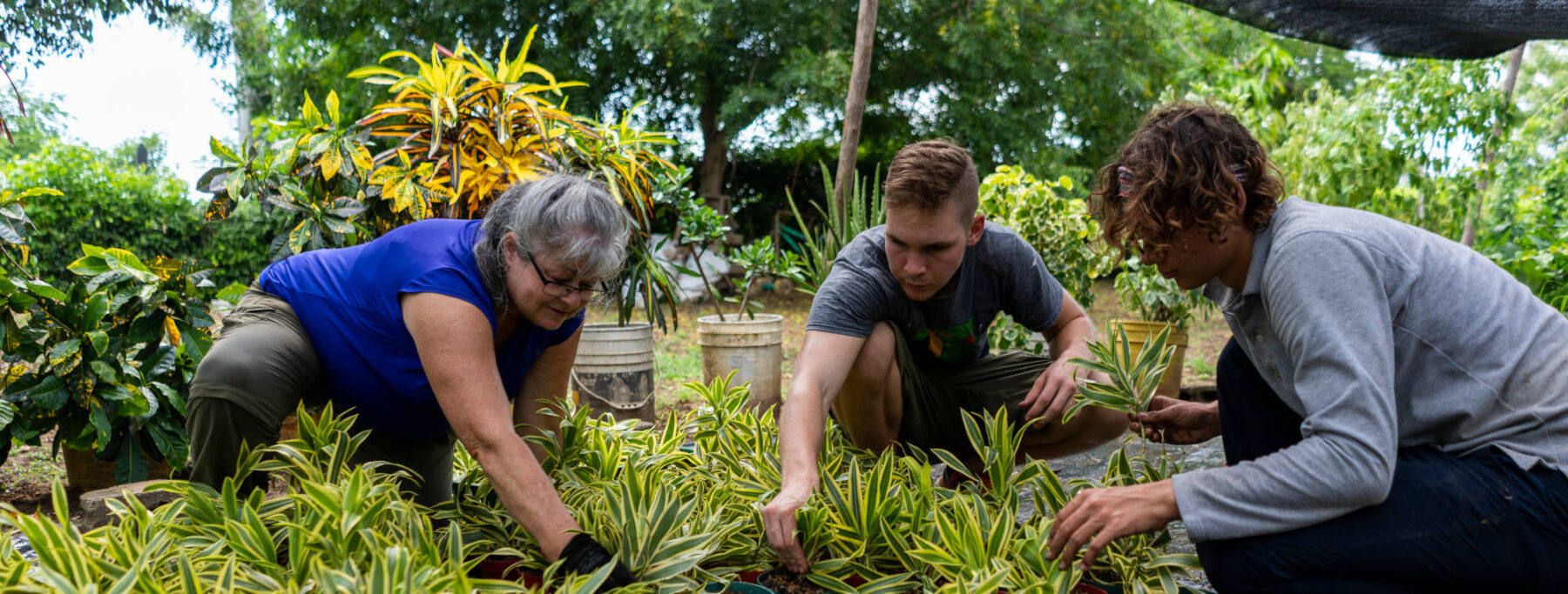 Eine ältere Frau und zwei junge Männer bei der Gartenarbeit.