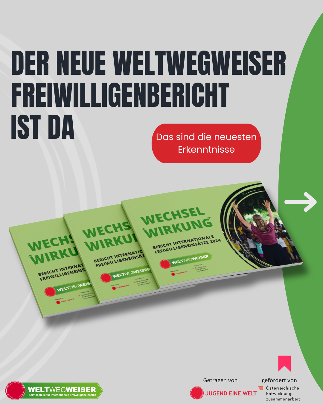 Ein buntes Posting mit schwarzer Schrift "Der neue Freiwilligenbericht ist da!"