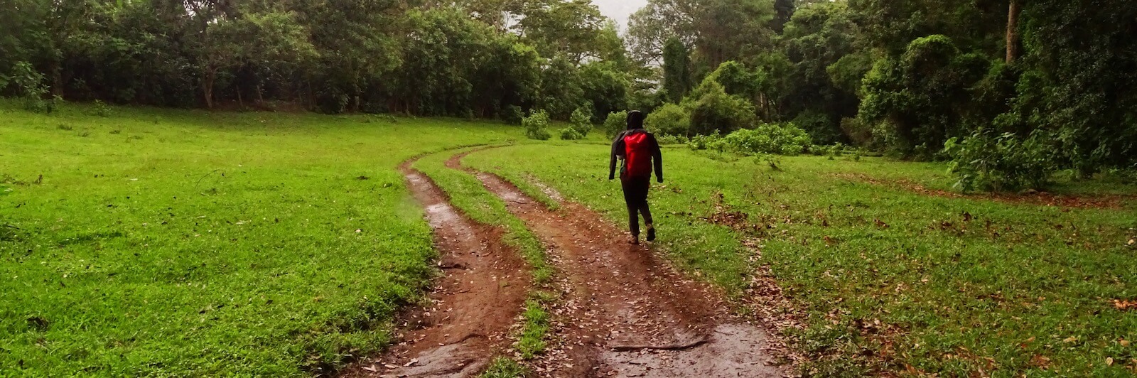 Eine Wanderin geht auf einem Weg, umgeben von Wiesen und Wald, in Guatemala