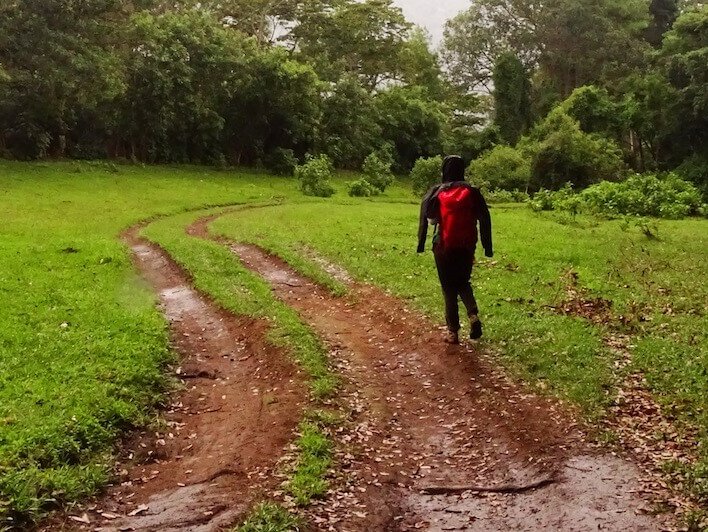 Eine Wanderin geht auf einem Weg, umgeben von Wiesen und Wald, in Guatemala